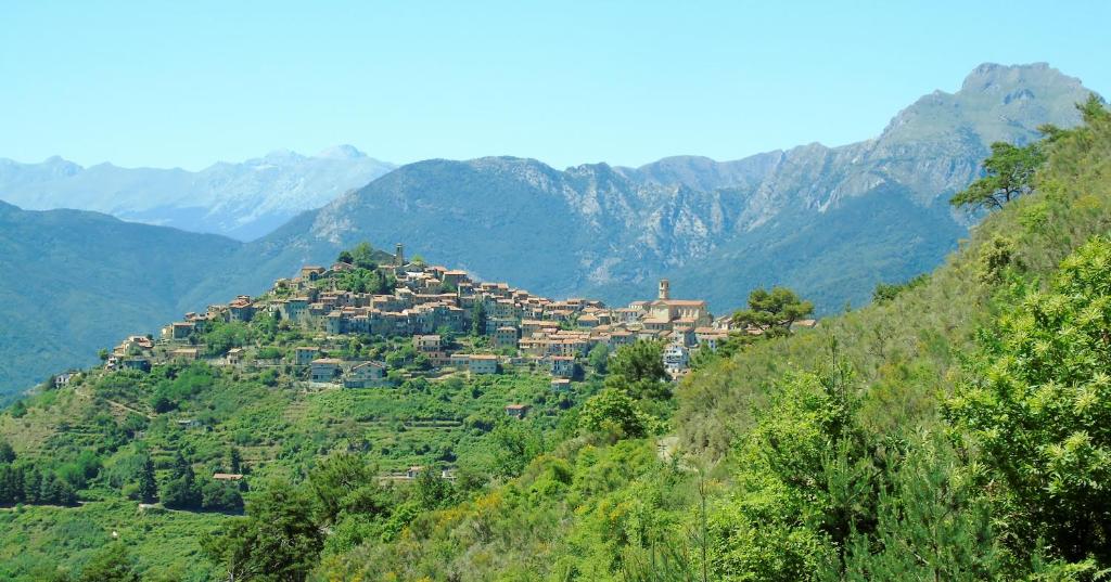 Baghe Nove - Bajardo