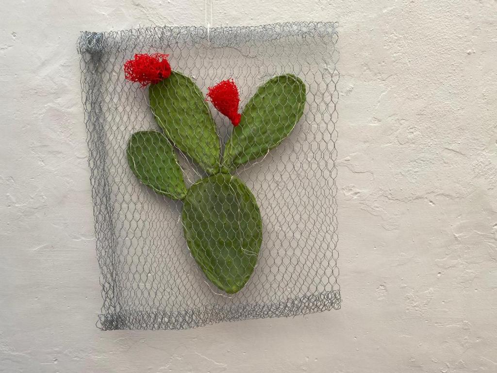 Casa Vacanze Disque Rouge