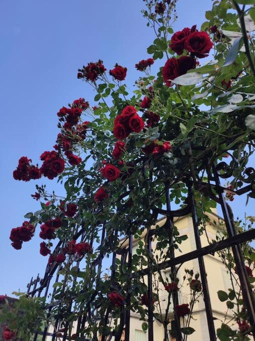 Ca' della Sfinge Colibrì a Civiasco