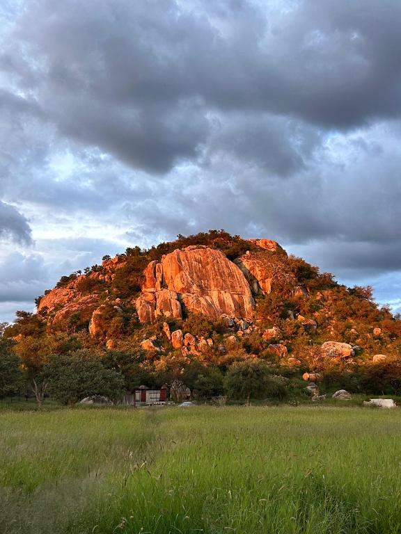 Northern Rock Campsites